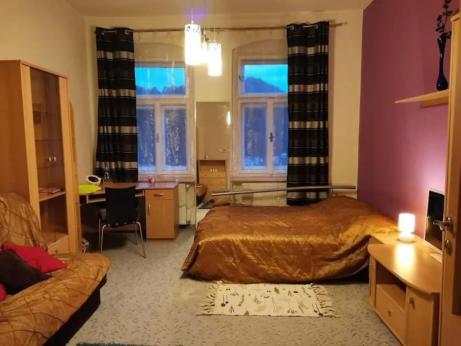 Ubytovani Ester - Utulny Byt V Lazenskem Centru Karlovych Varu Se Zahradkou Apartment Karlovy Vary