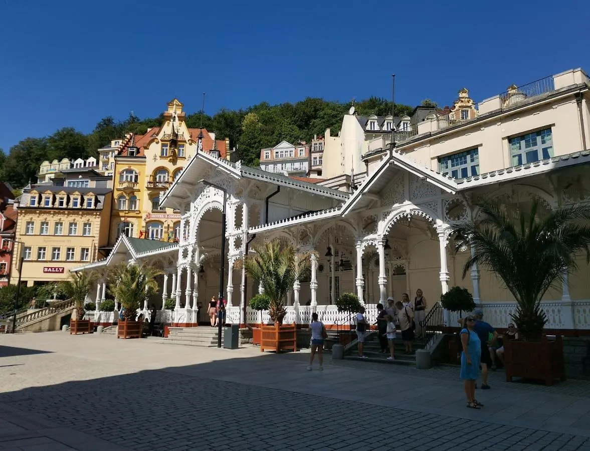 Ubytovani Ester - Utulny Byt V Lazenskem Centru Karlovych Varu Se Zahradkou Apartment Karlovy Vary Czech Republic